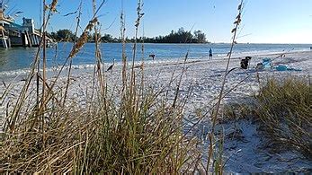 anna maria island wikipedia|anna maria island facts.